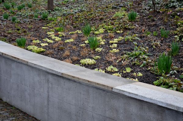 Concrete Wall Construction in Simi Valley