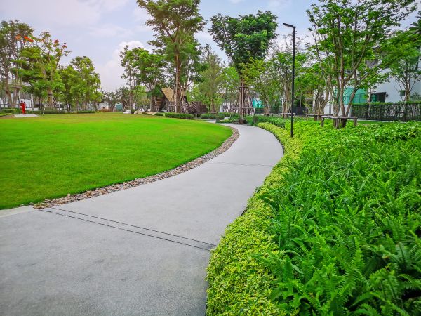 Cement Walkway Service in Simi Valley