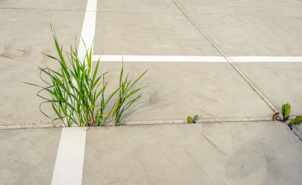 Concrete Parking Installation in Simi Valley