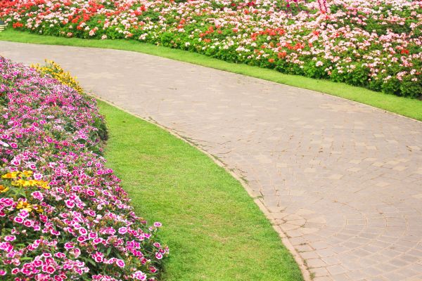 Concrete Walkway Service in Simi Valley